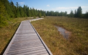 AYC Boardwalk