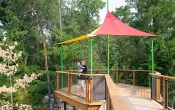AYC Deck STK B