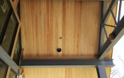 Cypress Clear Ceiling B