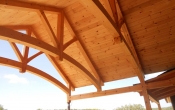 Eastern White Pine Premium Ceiling Panel A