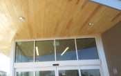Eastern White Pine Select Ceiling Panel
