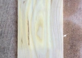 hackberry