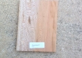 sycamore